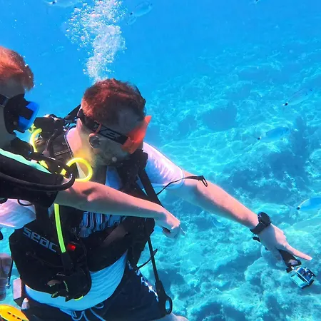 Daire Diver's Den Protaras