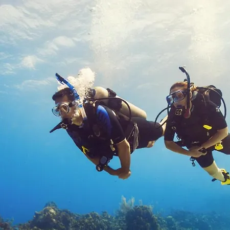 Apartament Diver's Den *